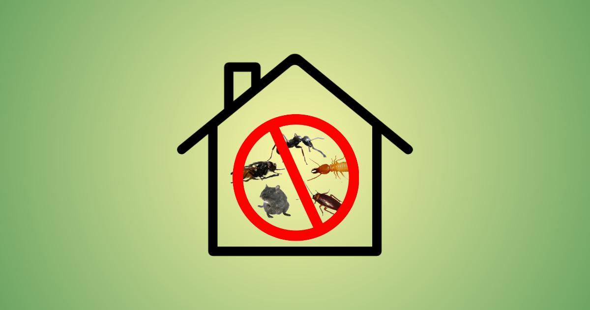 10 Tips for Preventing Pests in Your Home by experts at Ultima search, best pest management services and products