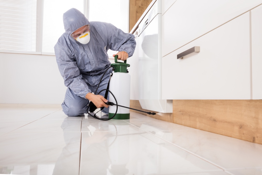 Eradicate, Protect, Sustain: Our Pest Management Approach by Ultima Search, best pest control management products and services in Mumbai