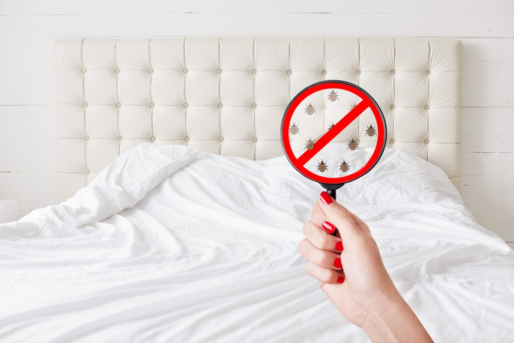 Ultima Search, the best pest management company in Mumbai: Defeat Bed Bugs with Our Powerful Bed Bugs Spray Solutions!