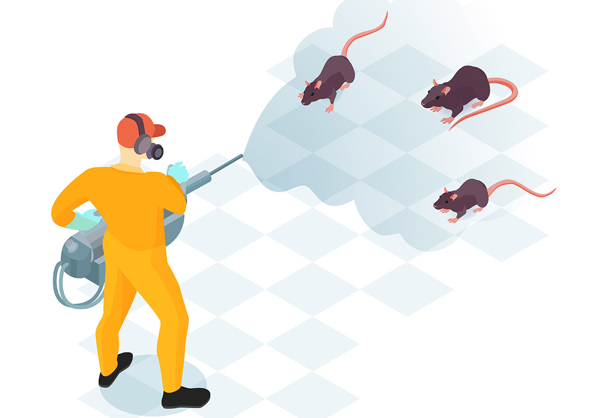 Choosing the right rat killer for your needs by professionals at Ultima Search
