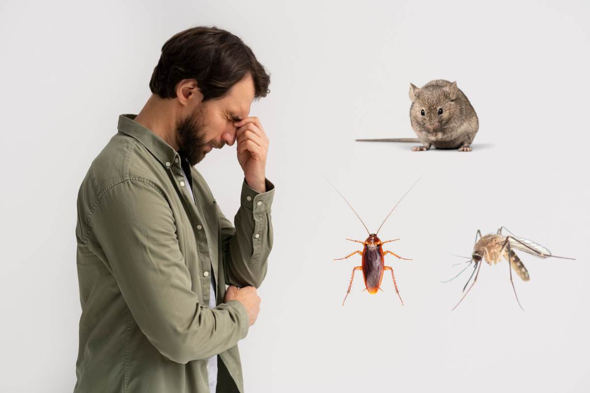 How insects and pests negatively affects human health by Professionals at Ultima Search, best pest management company in India