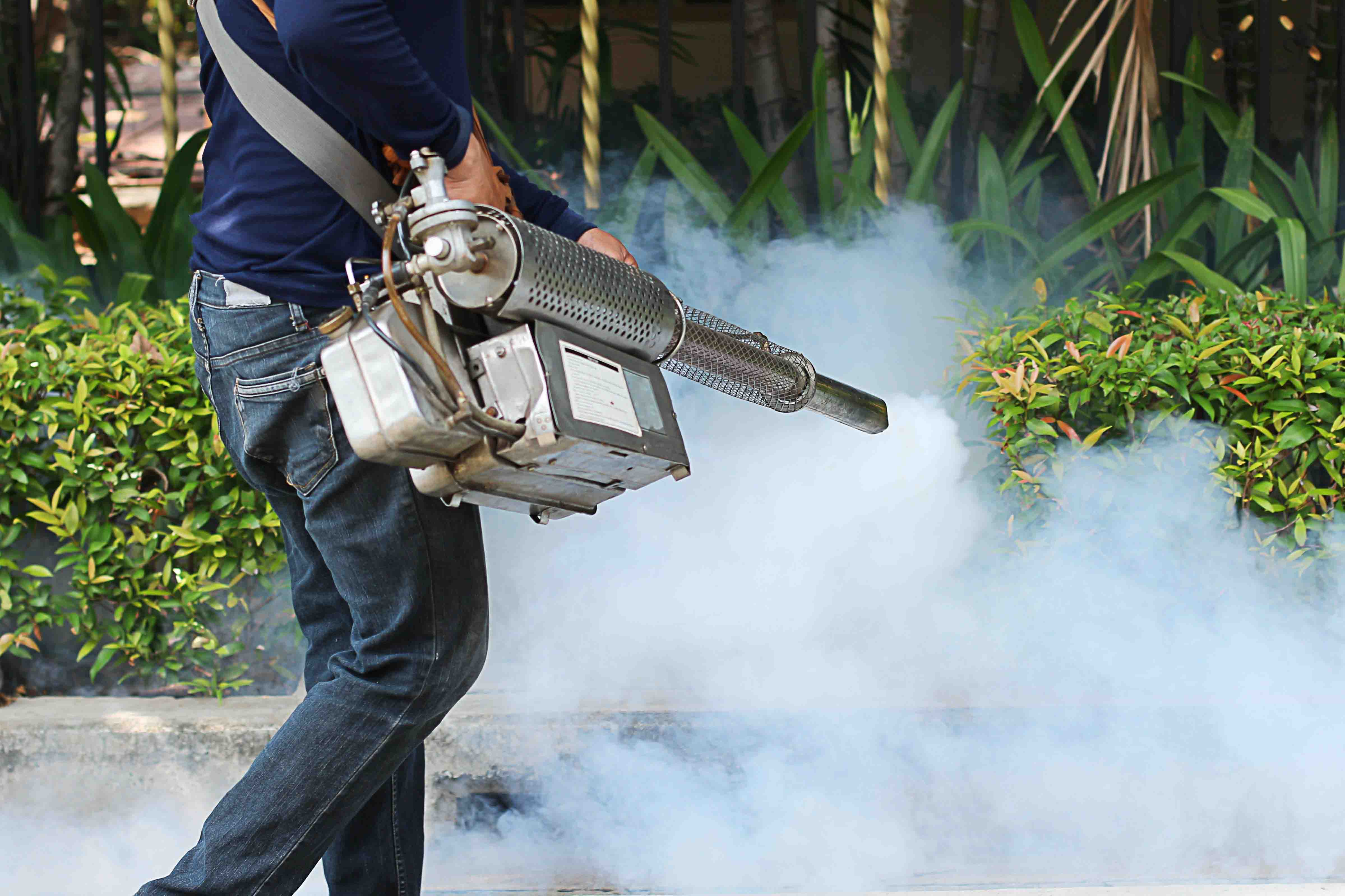 Experience unrivaled mosquito control with our trusted and best mosquito killing product.