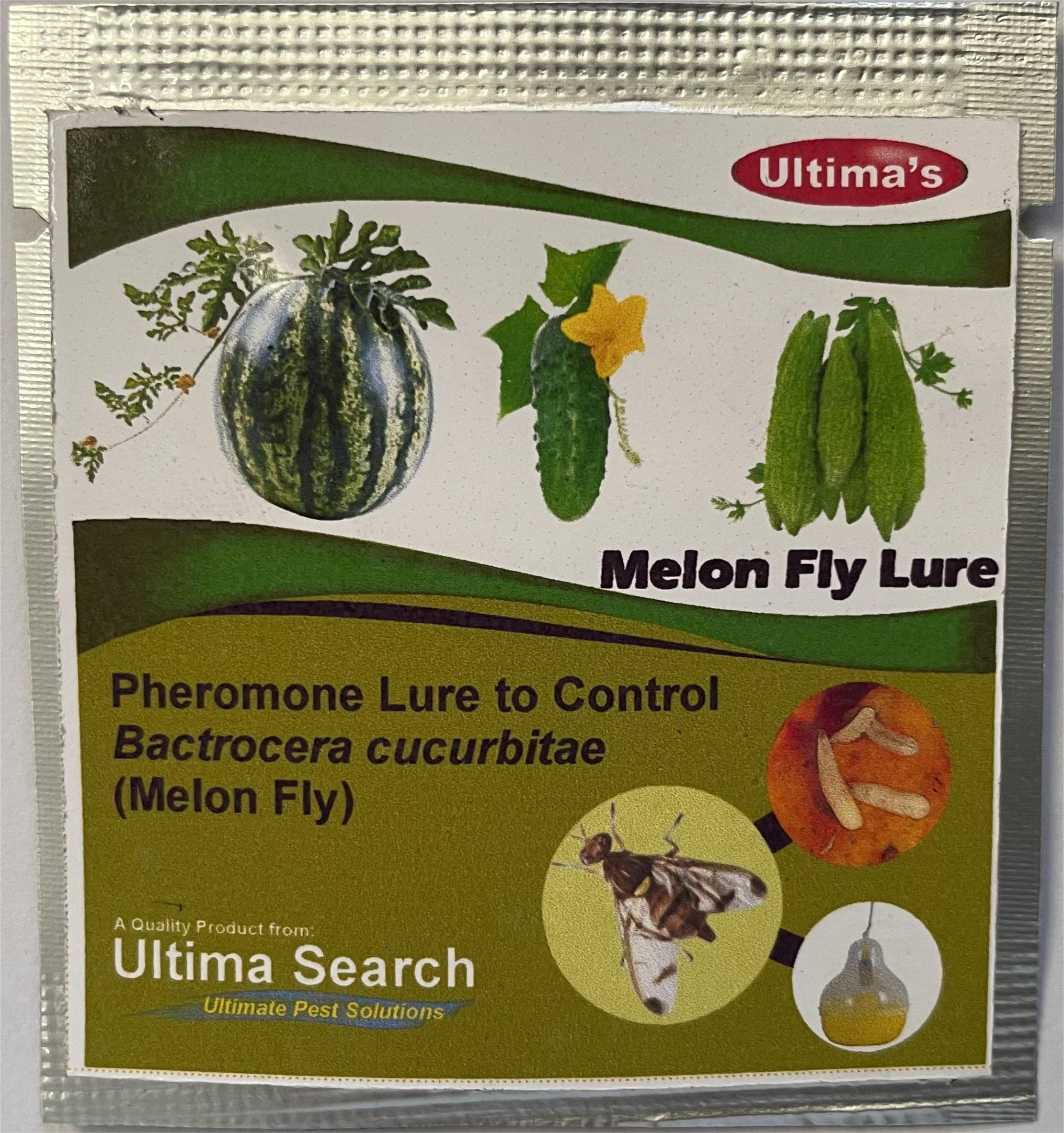 MELON