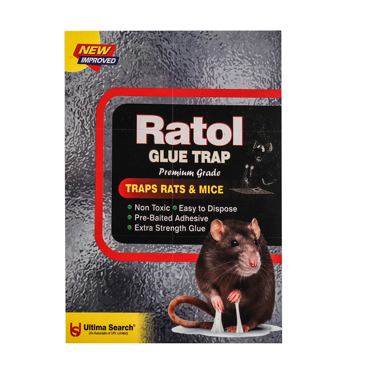Buy Mortein Rat Kill Cake Power Gard 100 Gm Pouch Online At Best Price of  Rs 51.2 - bigbasket