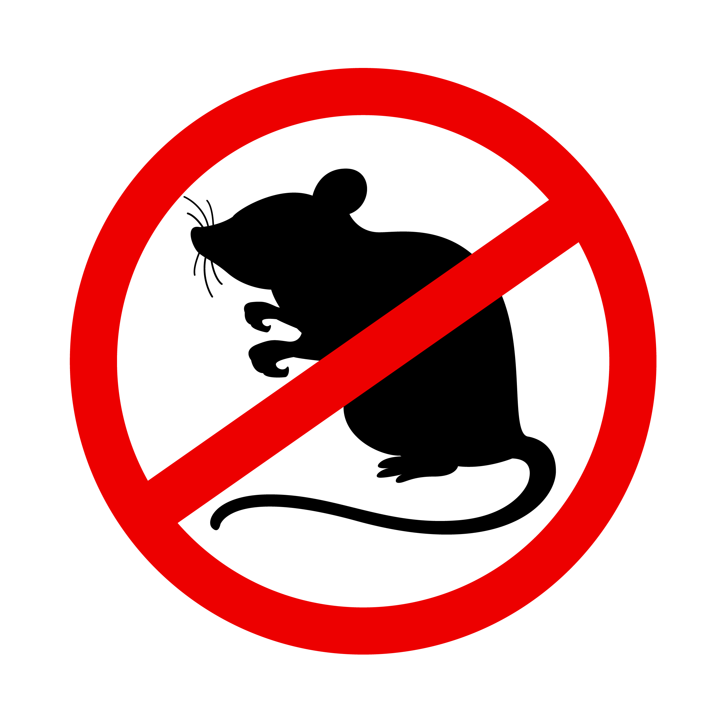 Get the top rodent control services and protect your space | Ultima search