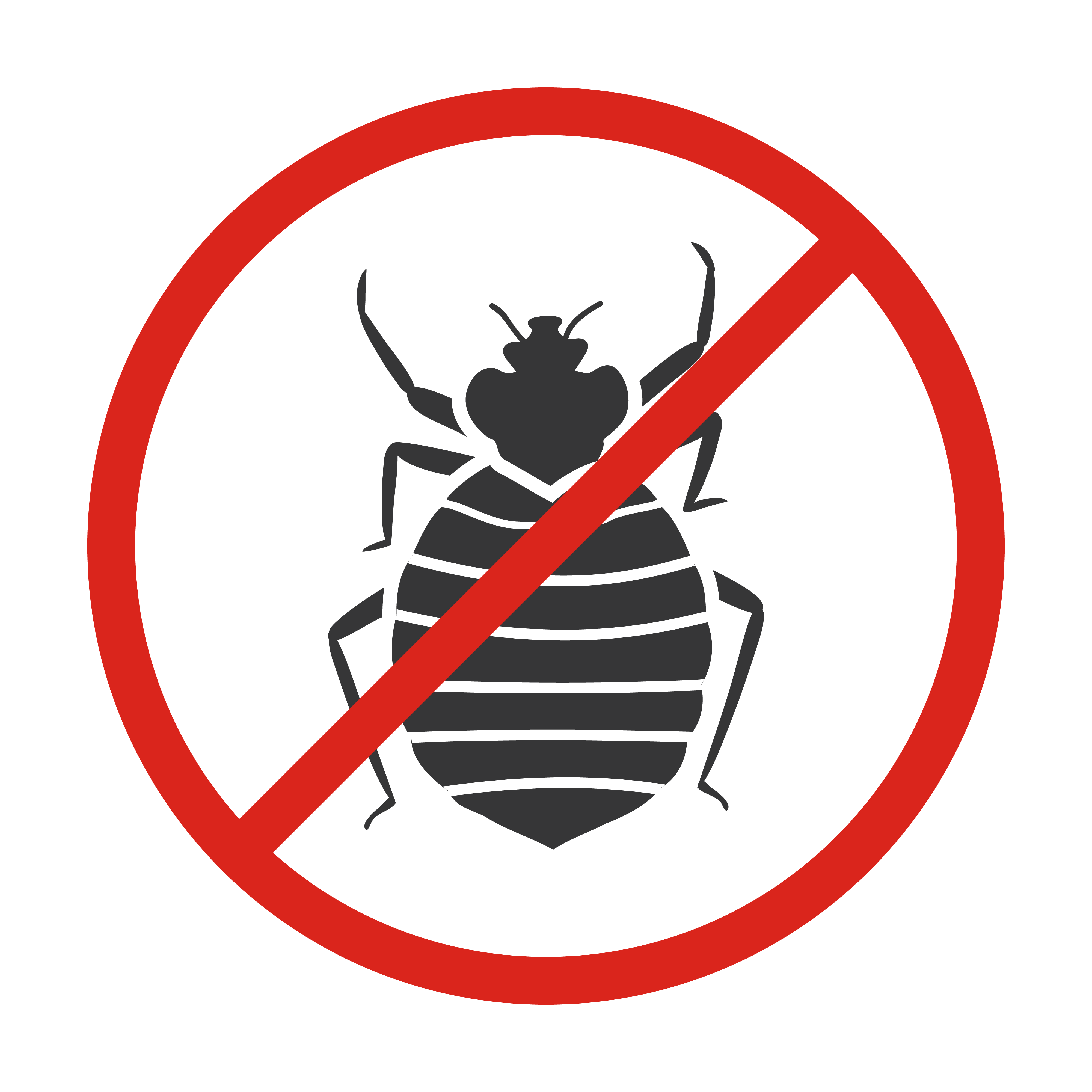 Get the best bed bug treatment for a pest-free space | Ultima search