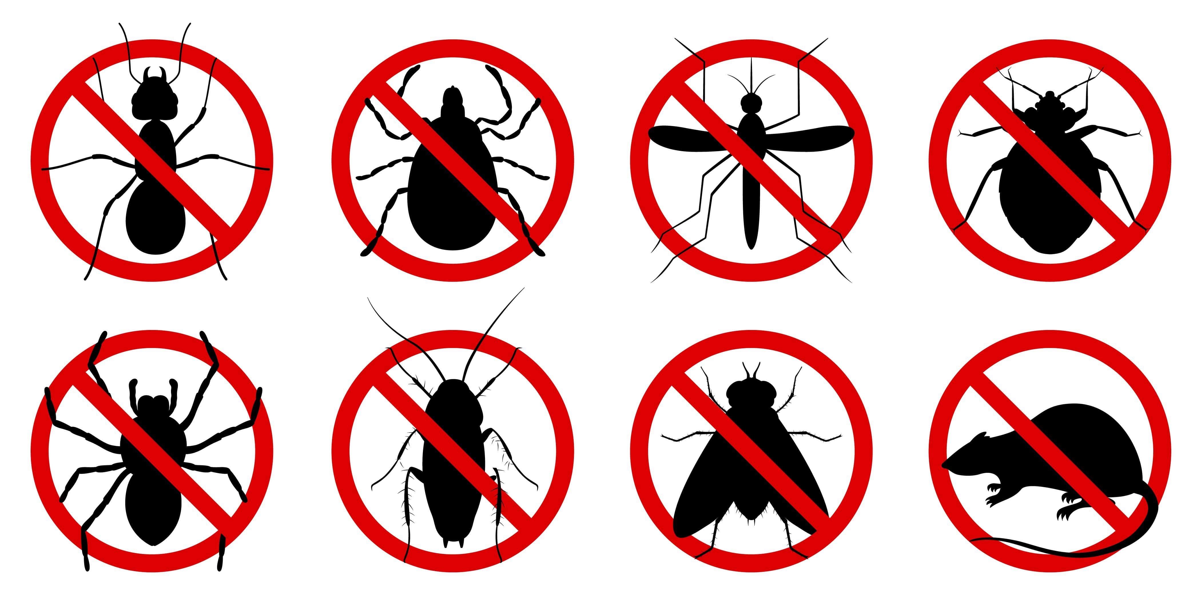 Professional home pest control services by ultima search. Trust us for effective solutions.